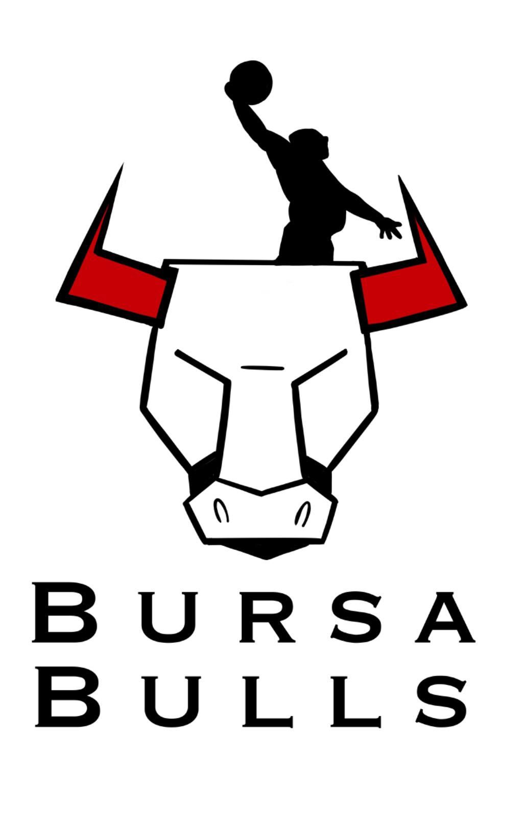 team logo