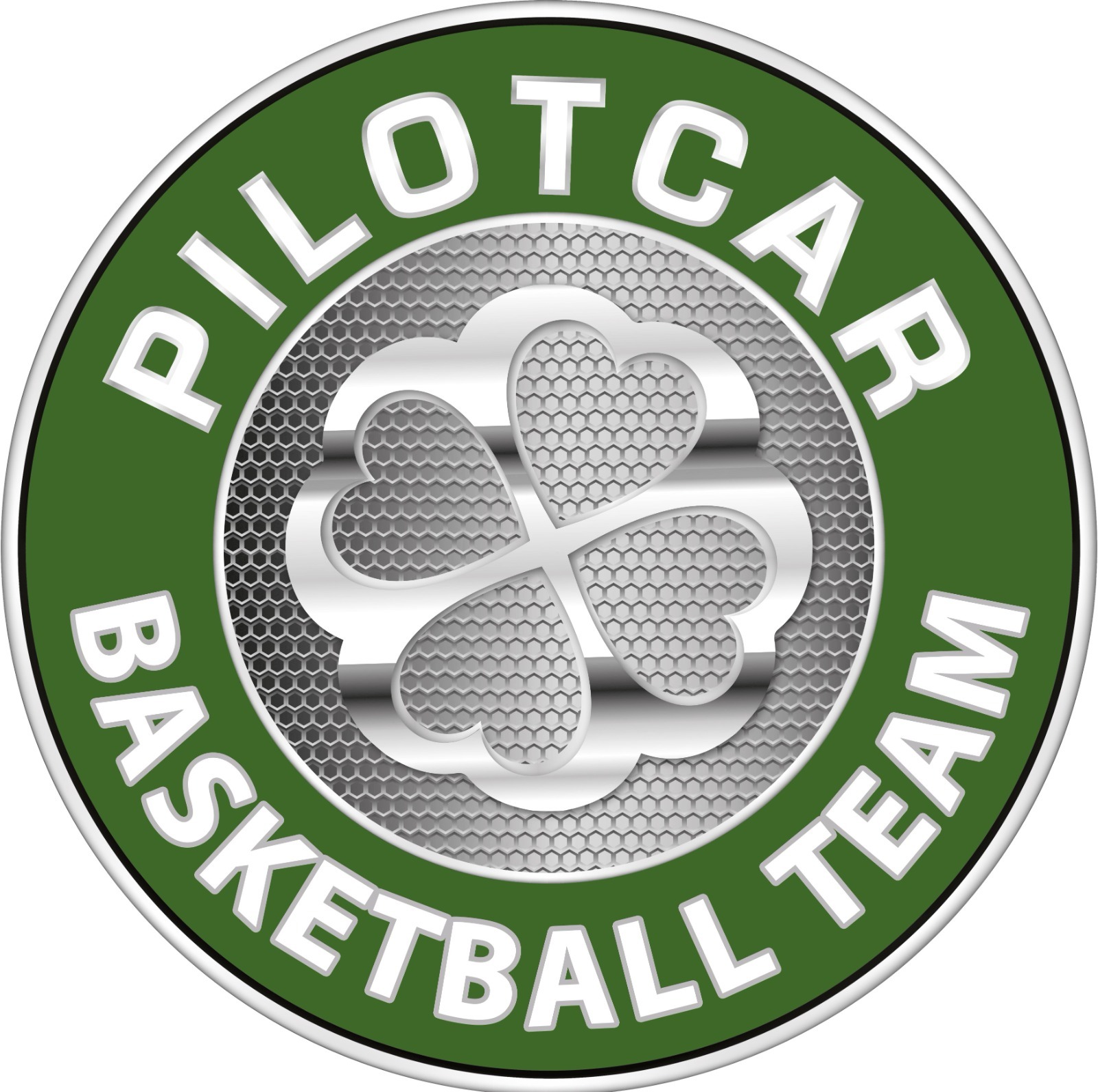 team logo